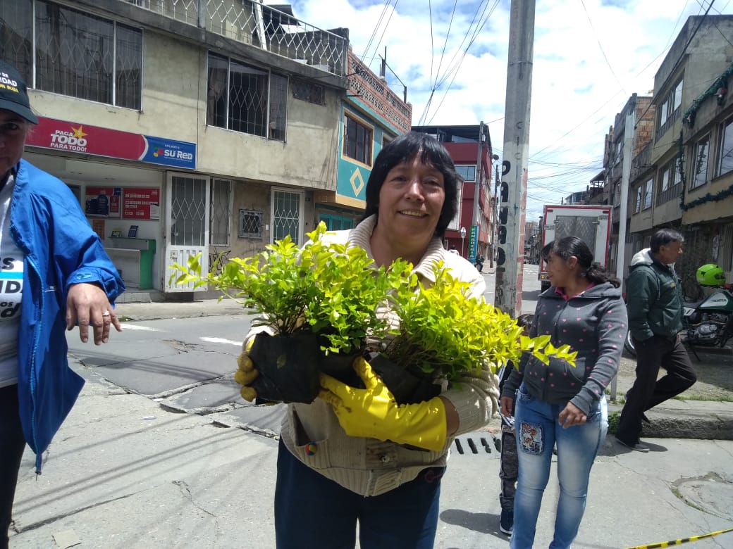 Siembraton en el barrio San Cayetano en la localidad de Suba