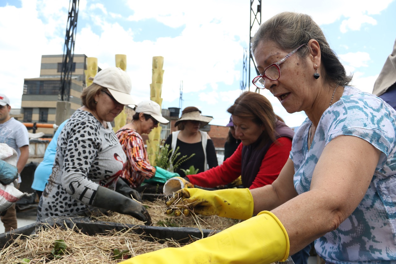 Jóvenes de Bogotá Líder nos enseñan agricultura urbana