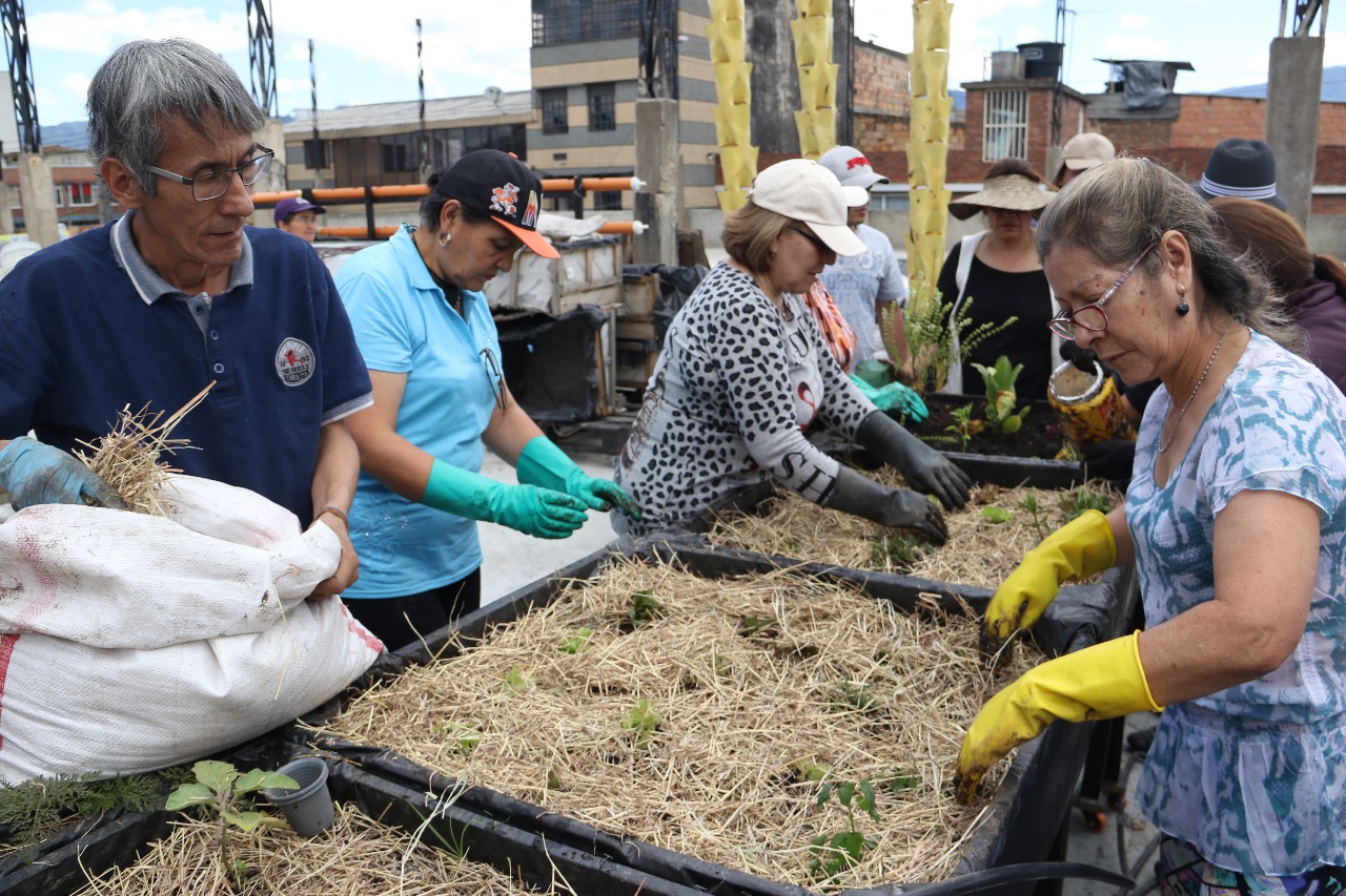 Jóvenes de Bogotá Líder nos enseñan agricultura urbana