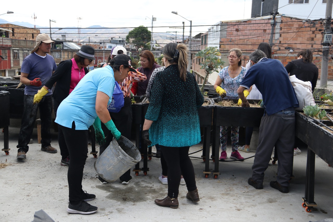 Jóvenes de Bogotá Líder nos enseñan agricultura urbana