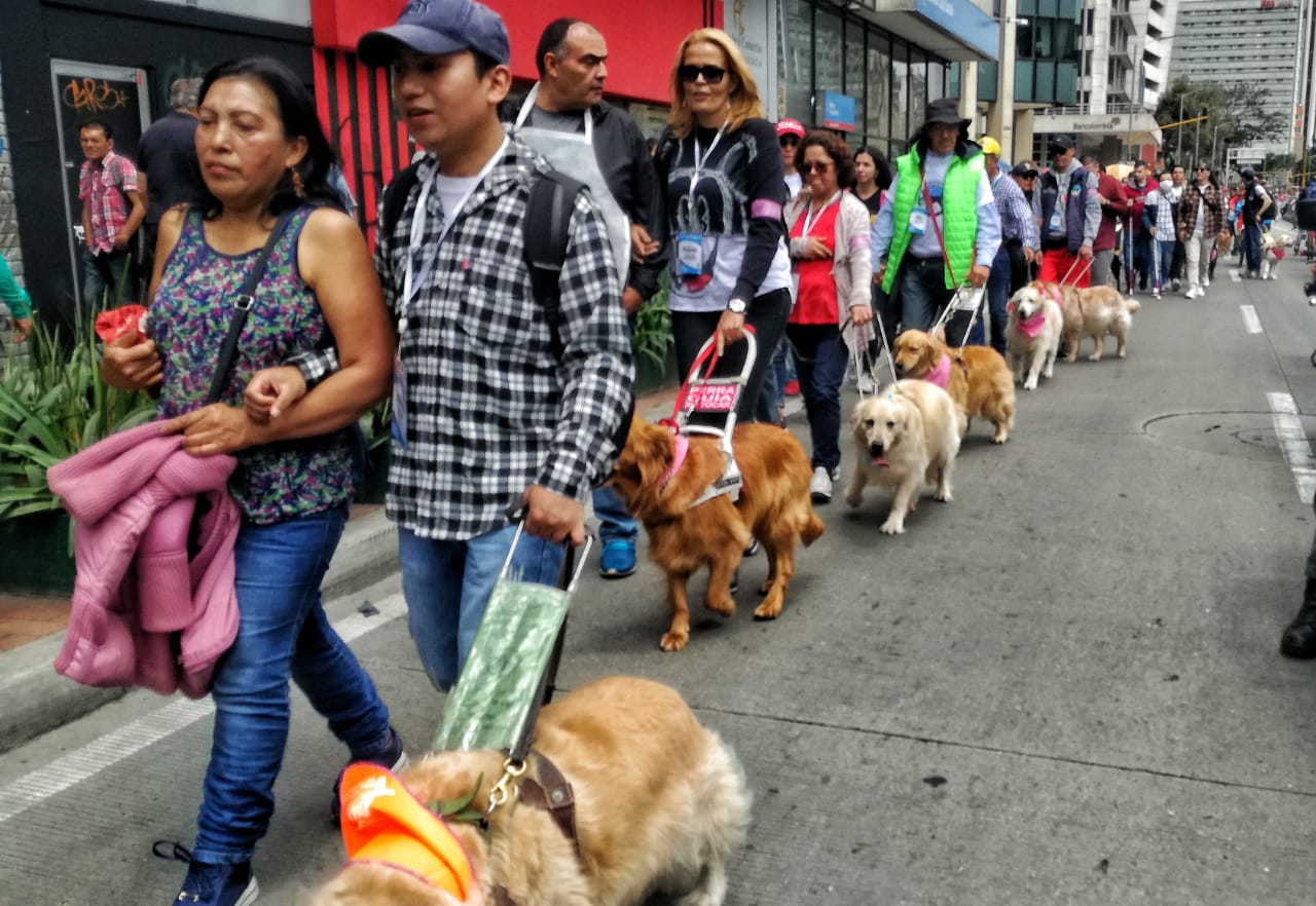 ‘Las huellas que guían’: la caminata por los derechos de los Perros Lazarillos 