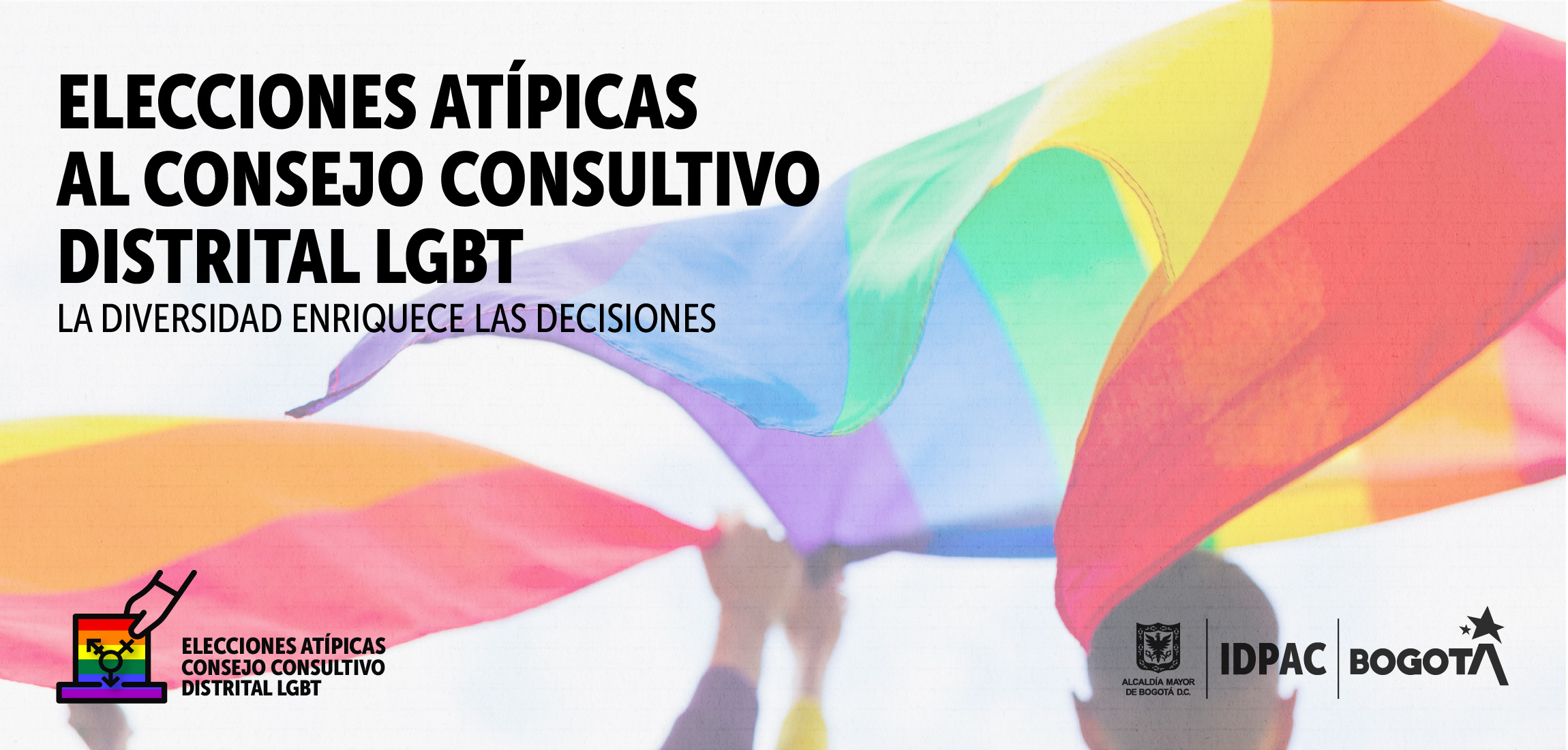 Elecciones atípicas al Consejo Consultivo Distrital LGBT