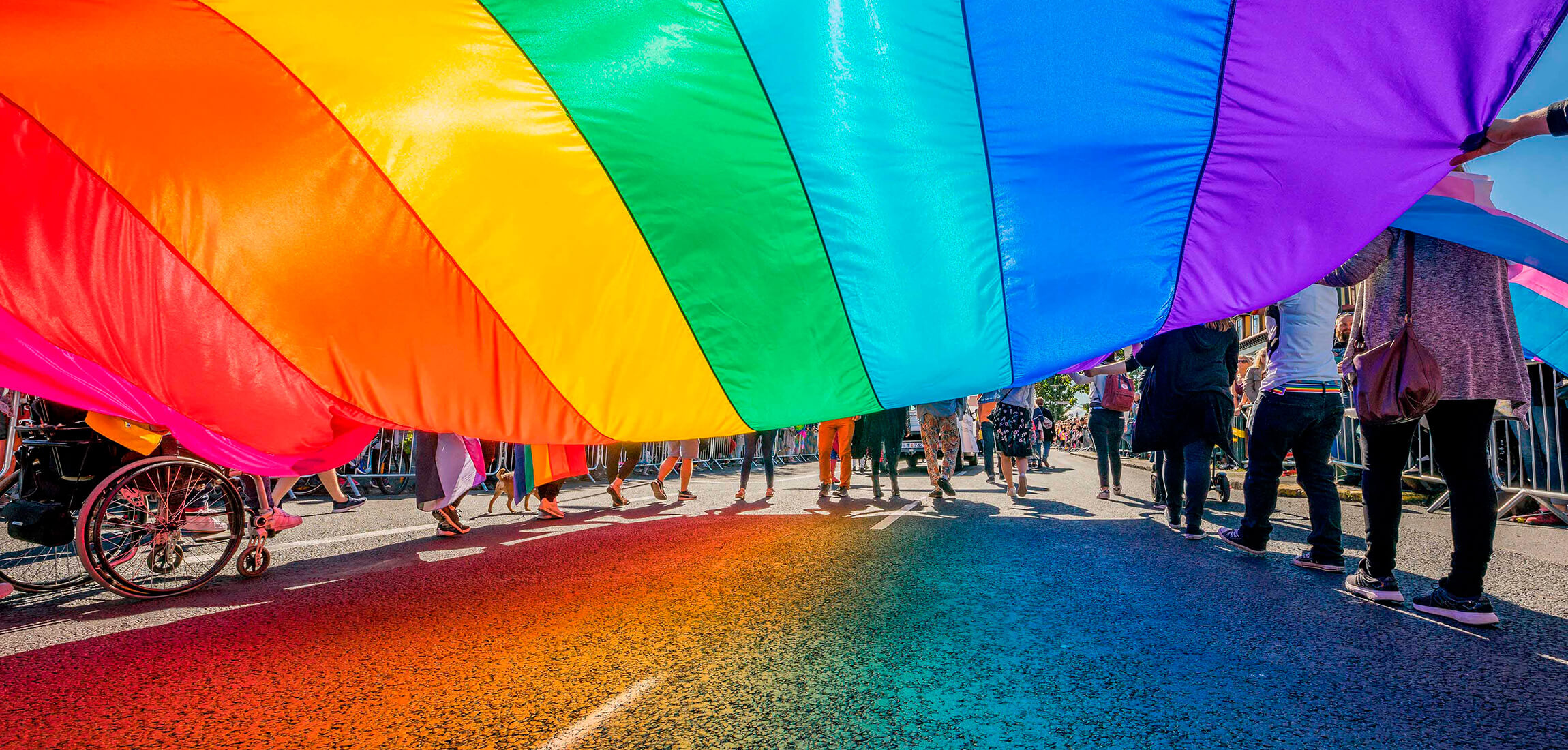 Elegidos tres consejeros consultivos distritales LGBT en Bogotá