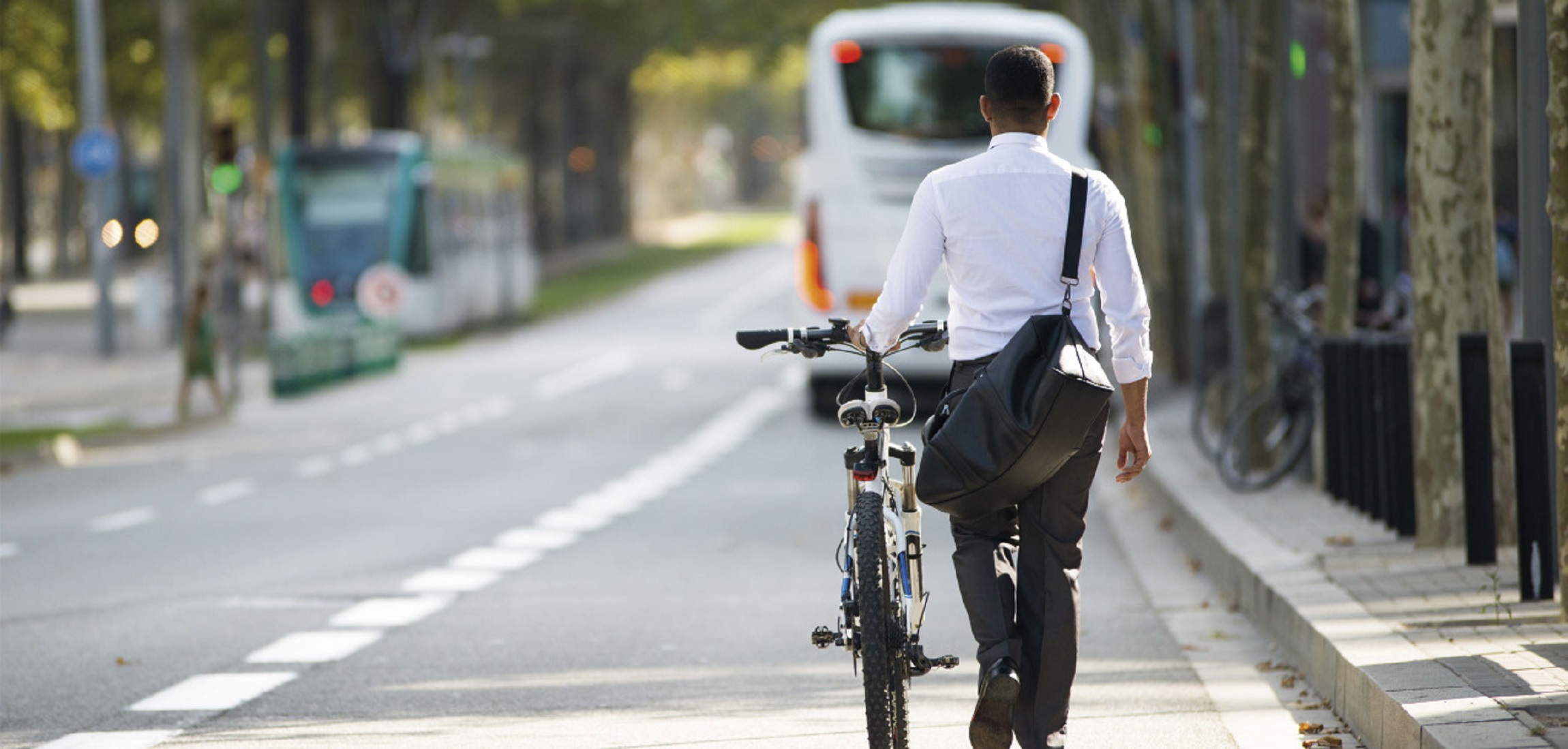 Candidatas y candidatos habilitados a la Elección de los Consejos Locales de la Bicicleta 2020