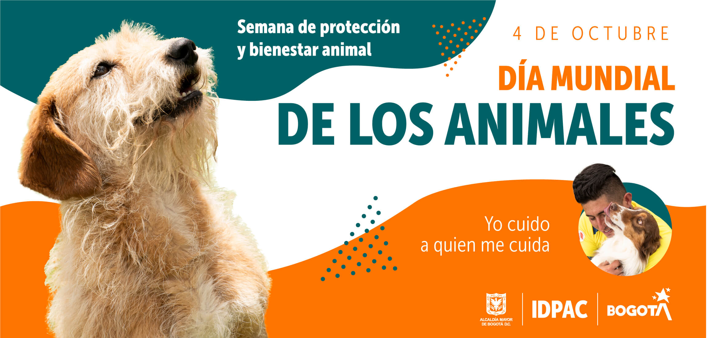  “Yo cuido a quien me cuida”: 4 de octubre, Día Mundial de los Animales 