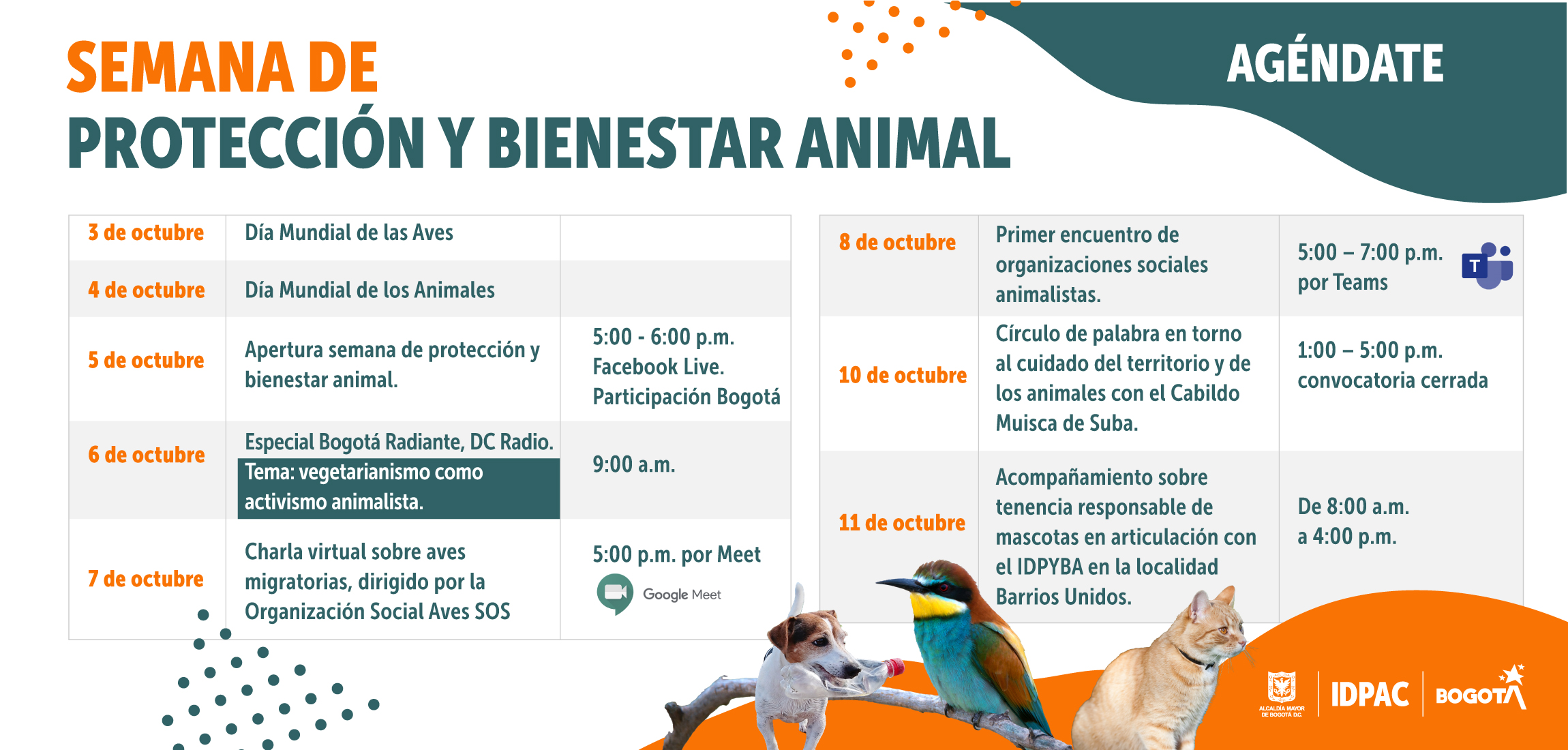 Cronograma de la Semana de Protección Y Bienestar Animal