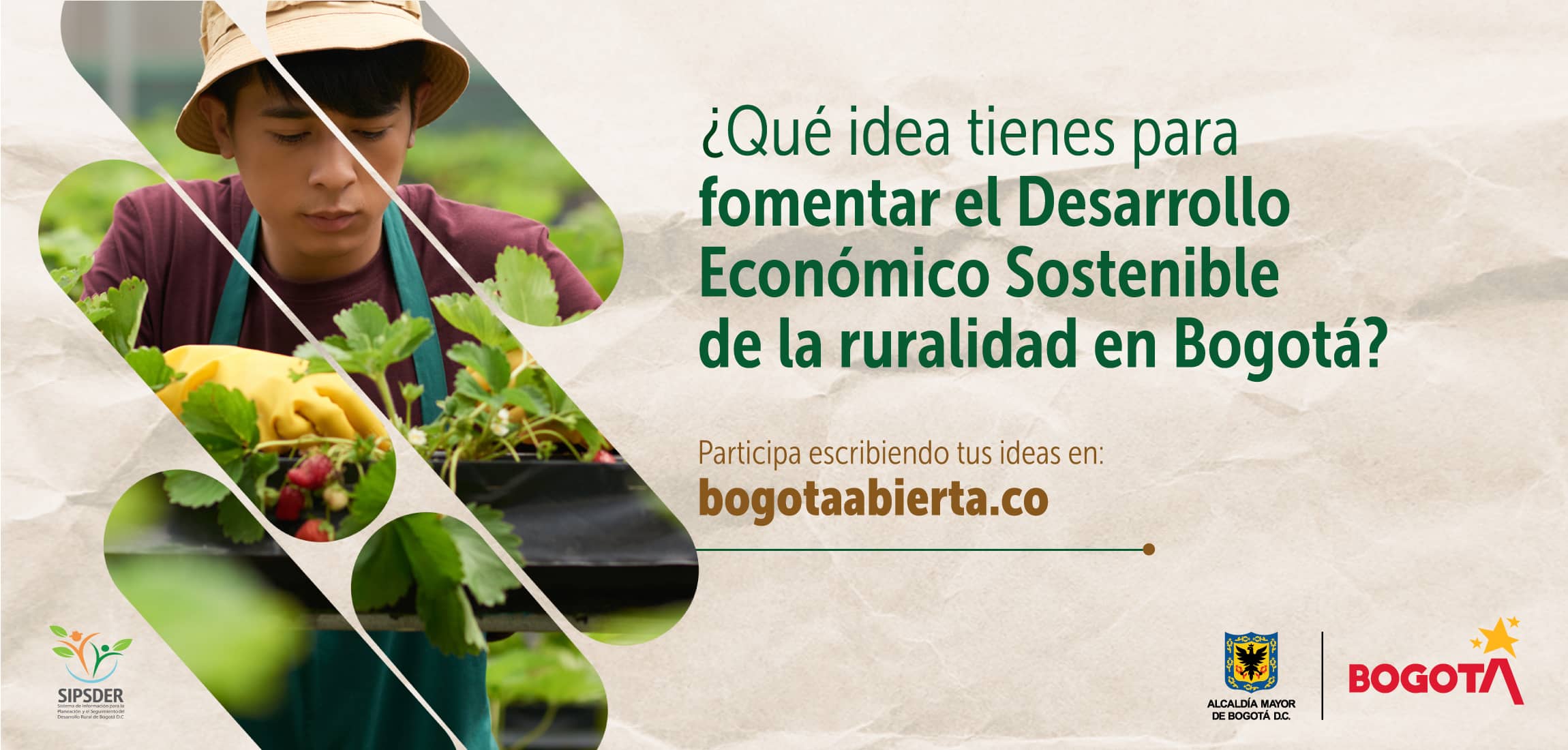 ¿Qué ideas tienes para fomentar el Desarrollo Económico Sostenible de la Ruralidad en Bogotá?