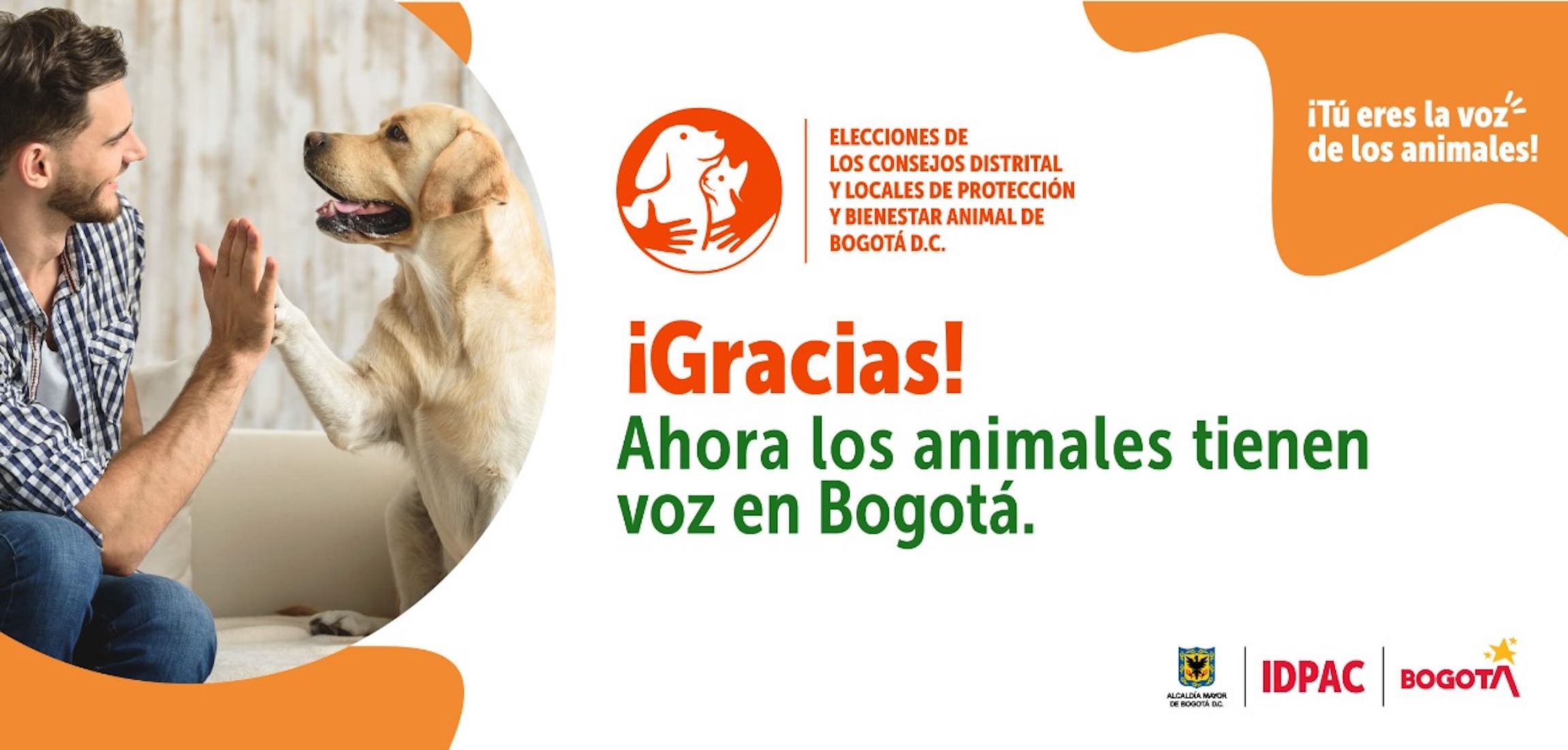 Los animales ya tienen voz en los Consejos Distrital y Locales de Protección y Bienestar Animal