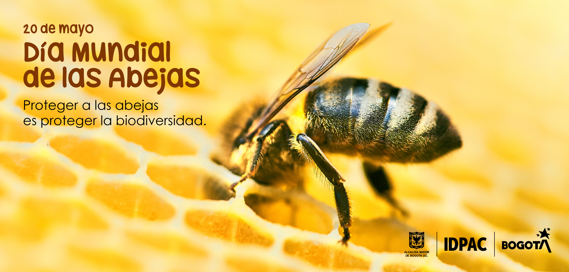 20 de mayo, Día Mundial de las Abejas