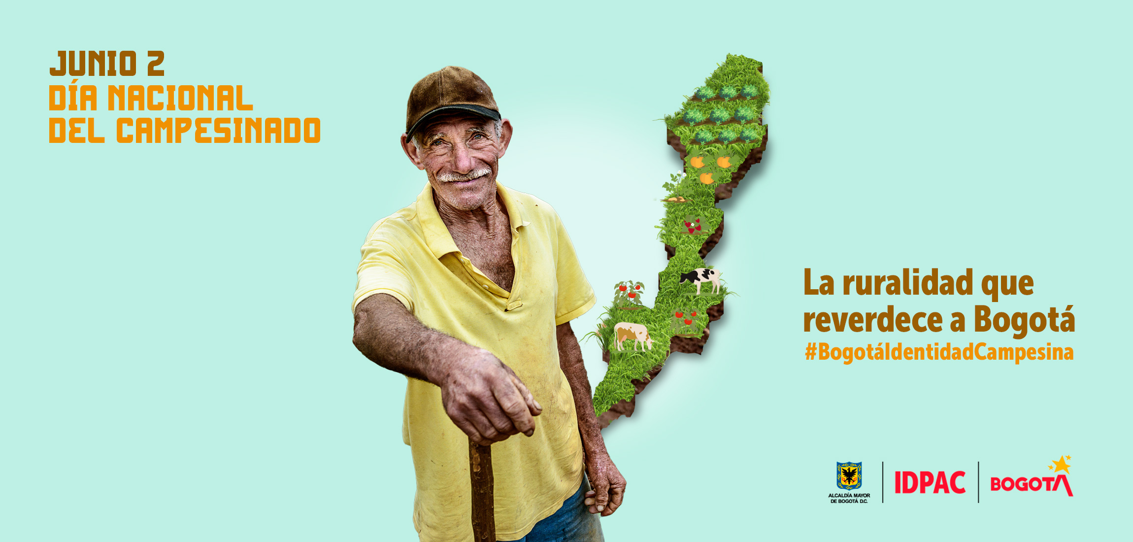 Agricultura familiar en la ruralidad de Bogotá, un camino hacia la participación 