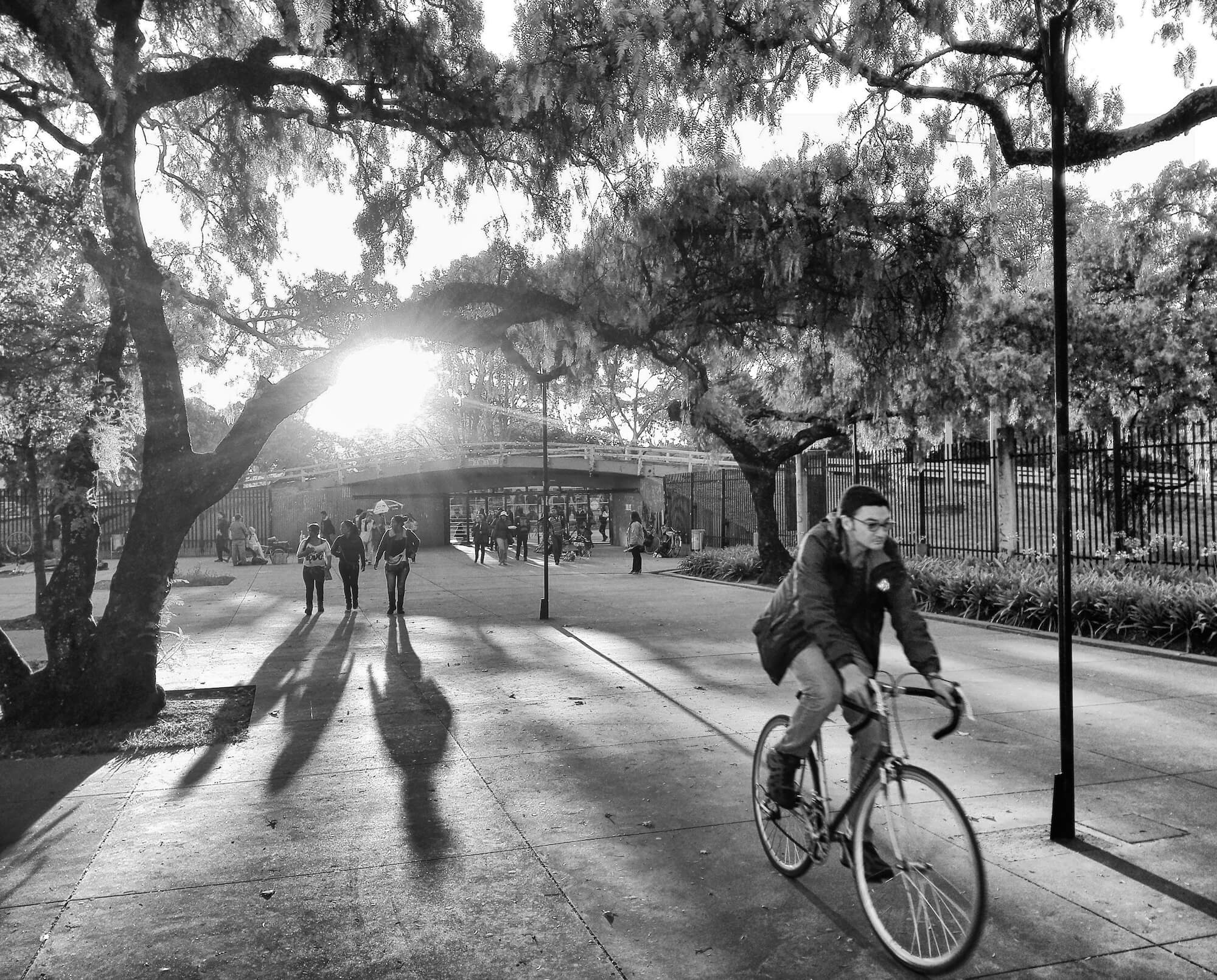 Estos son los 20 ganadores del reto ‘Foto Historias Bogotá Ciudad Caminable’