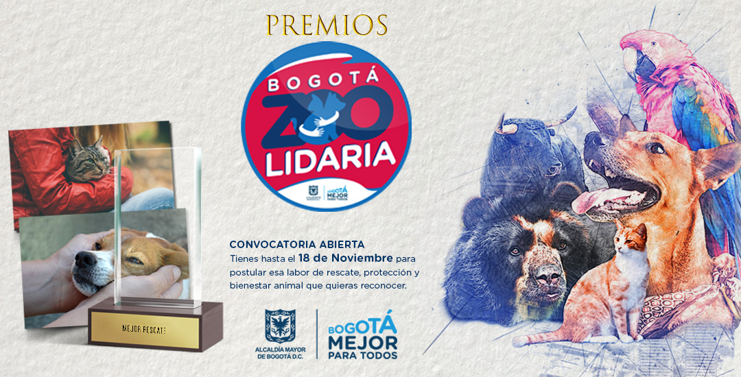 Abiertas las postulaciones para los Premios ‘Ciudad ZOOlidaria 2018’