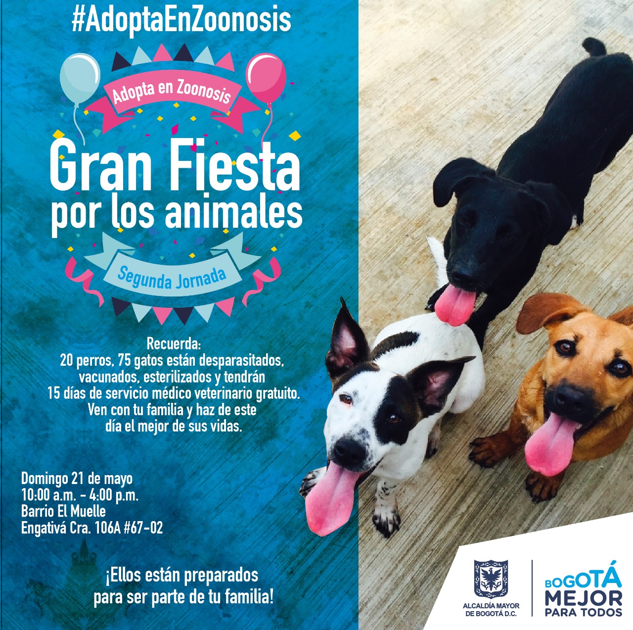 “Gran Fiesta por los Animales”