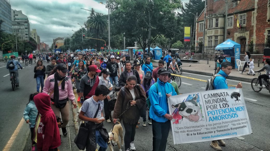 “Edúcate y Edúcame”: fue el eslogan en la Sexta Caminata por los Derechos de los Perros de Razas Fuertes