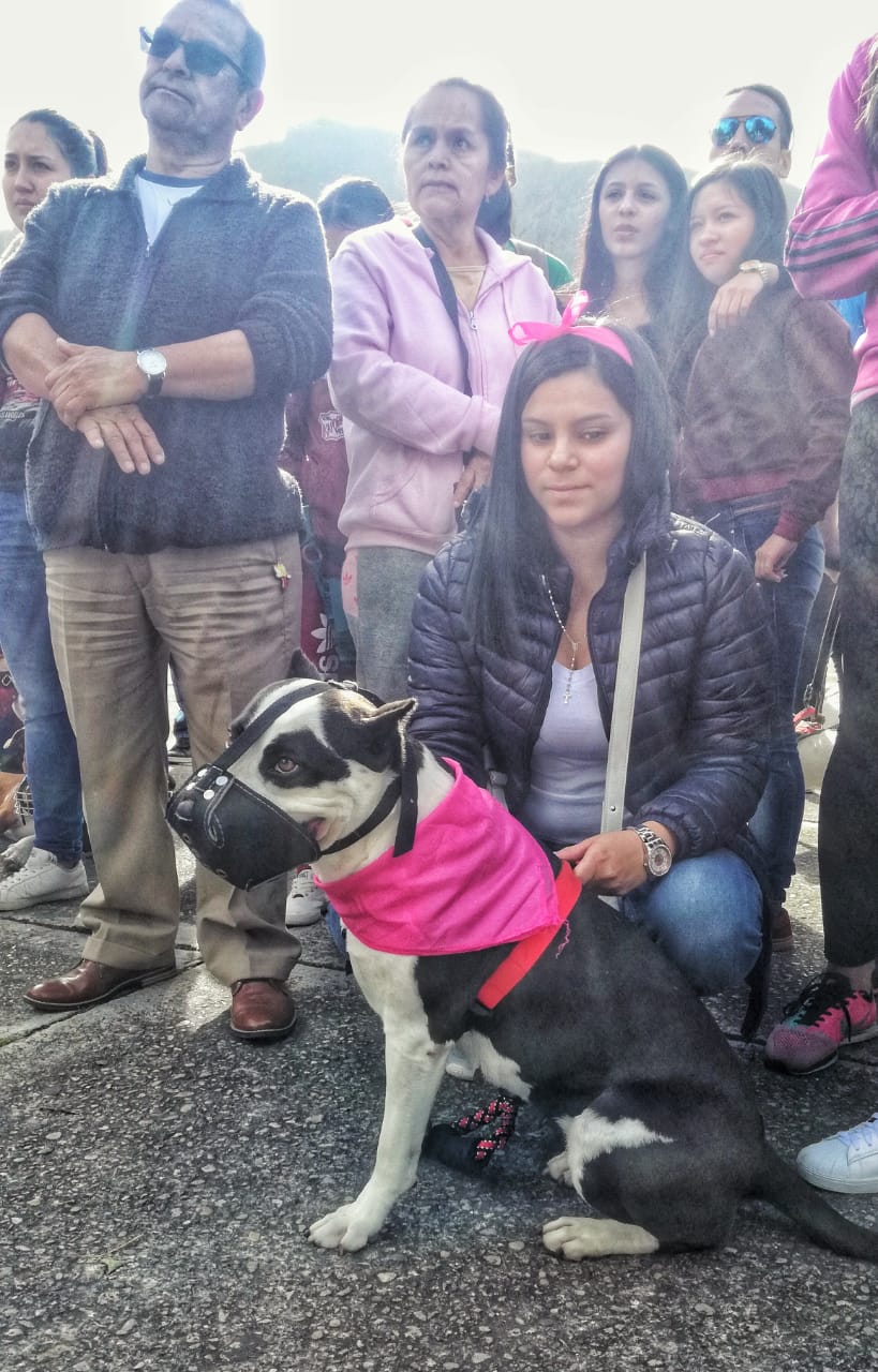 “Edúcate y Edúcame”: fue el eslogan en la Sexta Caminata por los Derechos de los Perros de Razas Fuertes