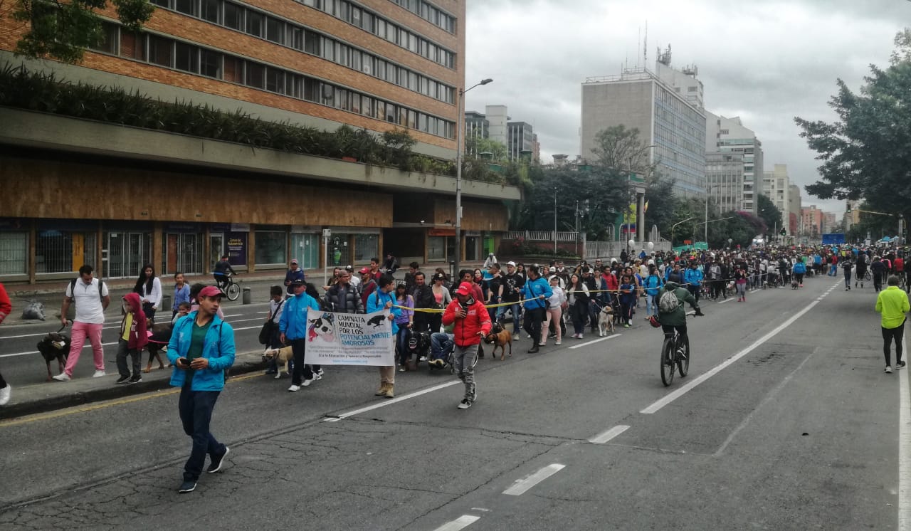 “Edúcate y Edúcame”: fue el eslogan en la Sexta Caminata por los Derechos de los Perros de Razas Fuertes