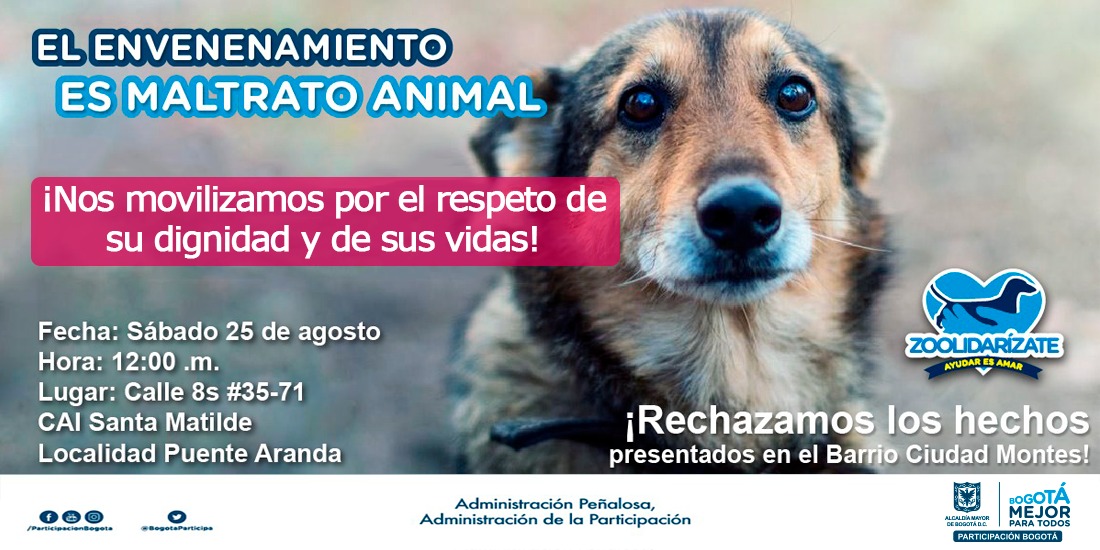 IDPAC denuncia y rechaza aberrantes actos contra animales en el barrio Ciudad Montes