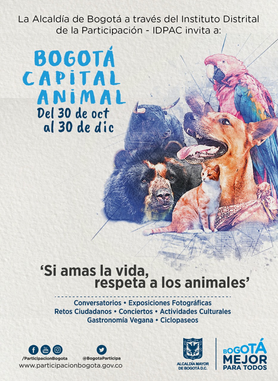 Capital Animal 2018