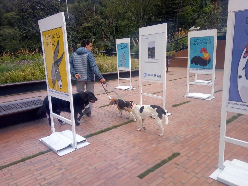 “Papalí, Emita y Don Ramón” visitan la exposición fotográfica de Bogotá Capital Animal