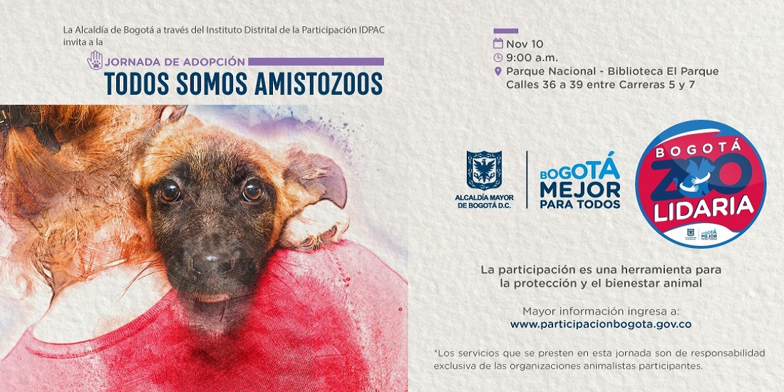 Bogotá Capital Animal: todos a adoptar por una ‘Bogotá ZOOlidaria’ 