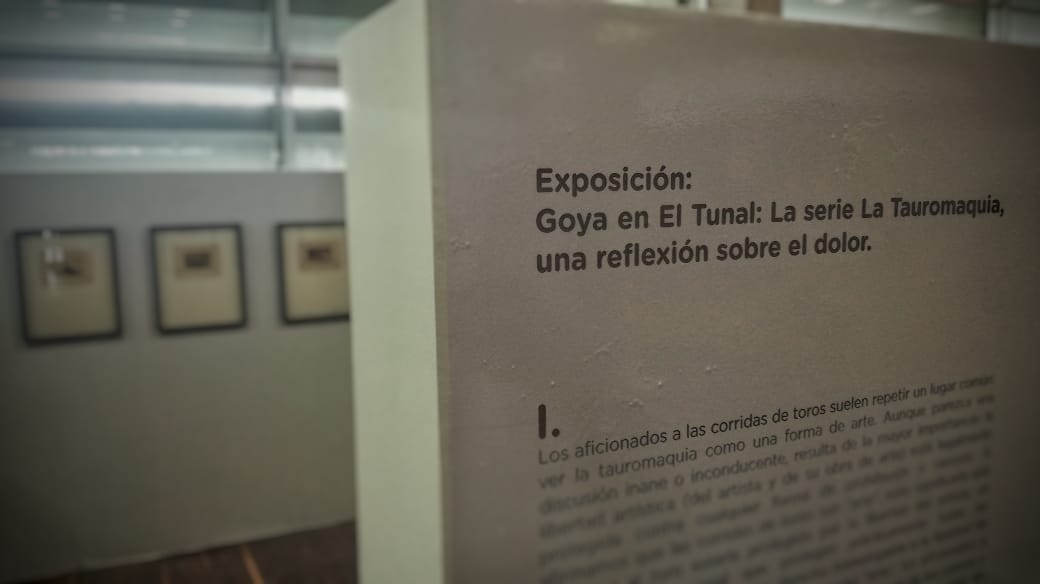 El arte, la cultura y la muerte en ‘Bogotá Capital Animal’ a través de Goya 