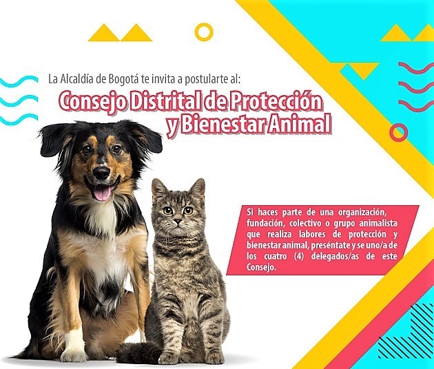 Abiertas inscripciones para el proceso de Elección al 'Consejo Distrital de Protección y Bienestar Animal'