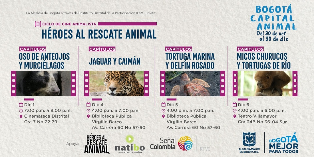 Asista gratis al ciclo de cine animalista “Héroes al Rescate”, para concientizar sobre el respeto hacia la fauna