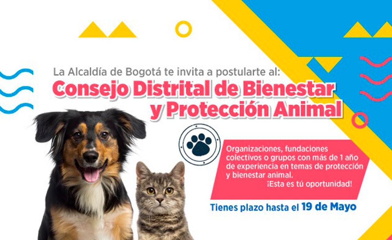 Participe en la convocatoria al proceso de elección del 'Consejo Distrital de Bienestar Protección Animal'