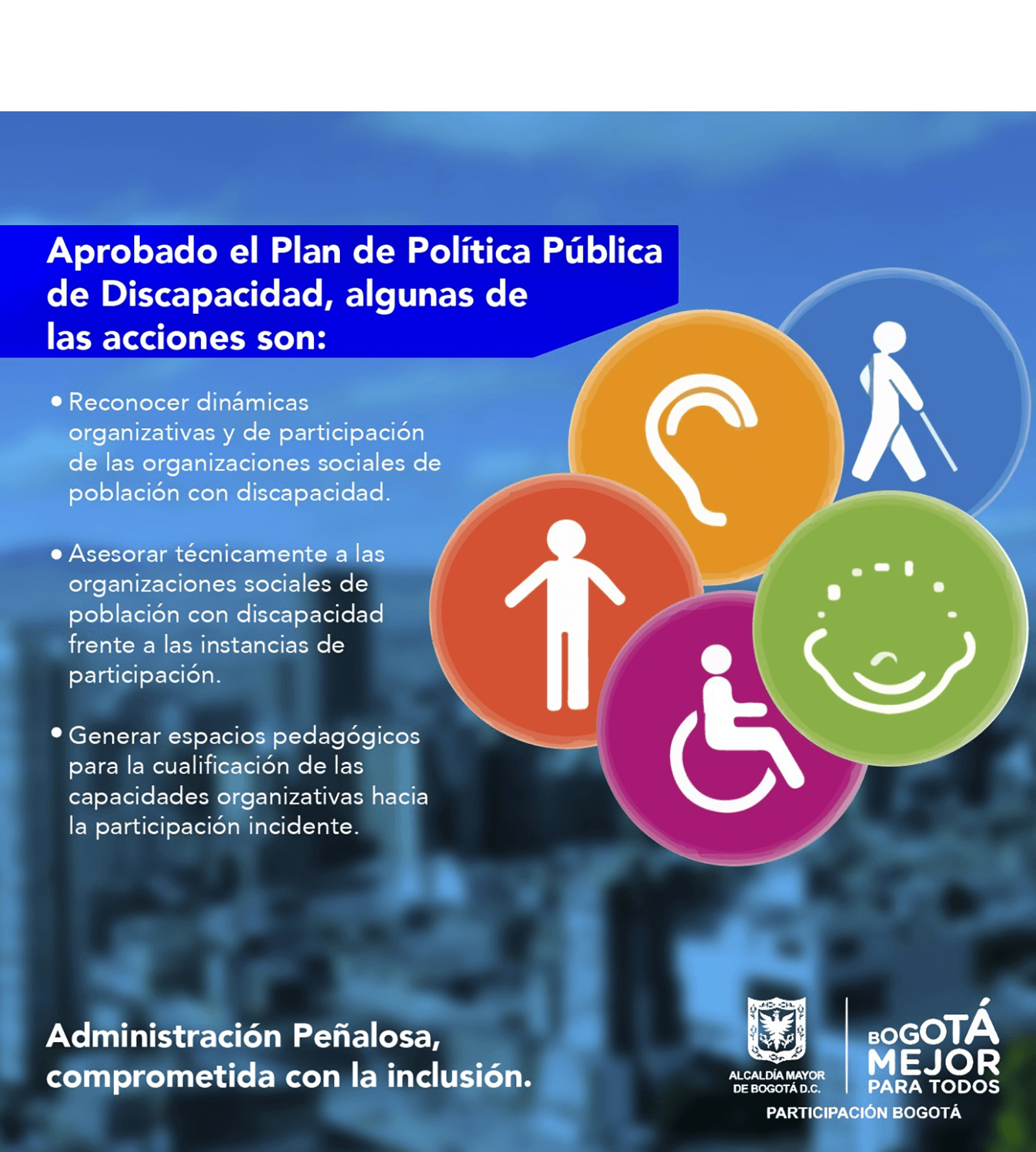 Plan de Política Pública de Discapacidad