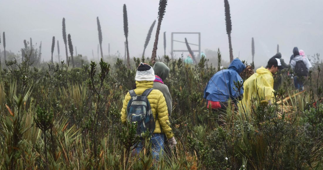 Estos son los 20 ganadores del reto ‘Foto Historias Bogotá Ciudad Caminable’