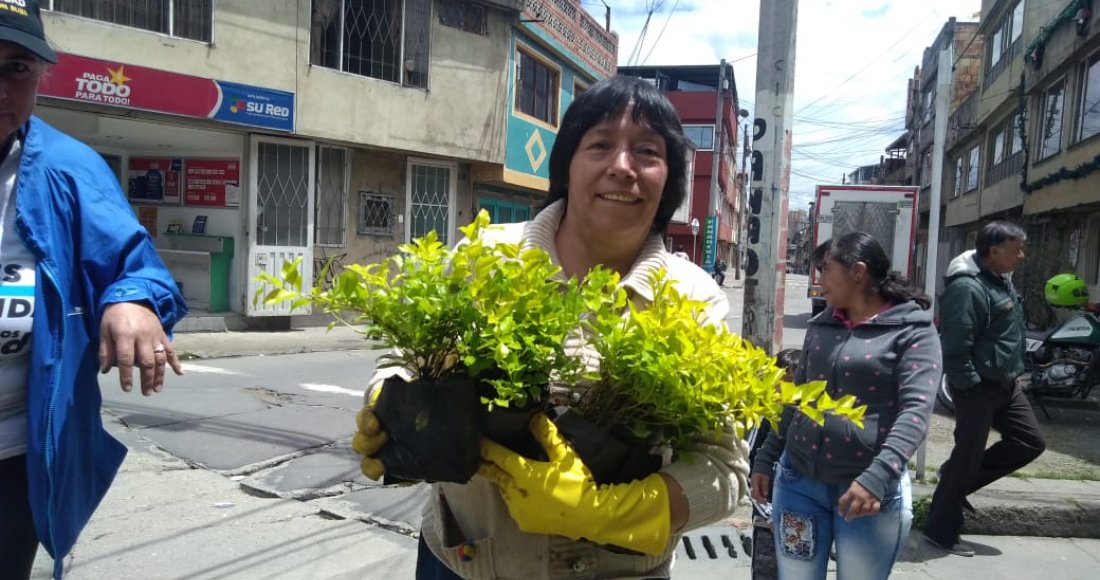 Siembraton en el barrio San Cayetano en la localidad de Suba