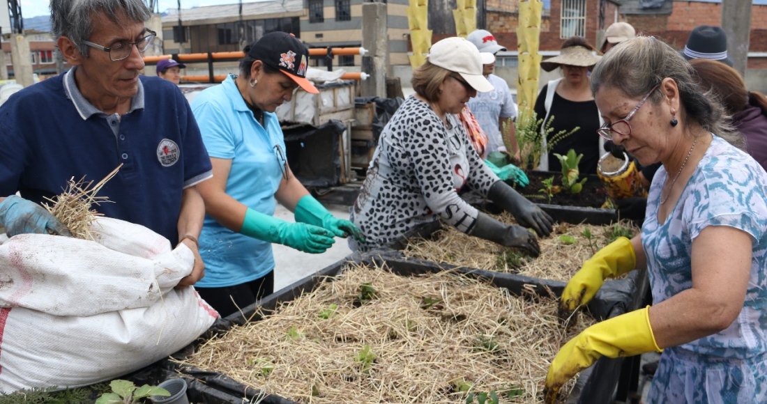 Jóvenes de Bogotá Líder nos enseñan agricultura urbana