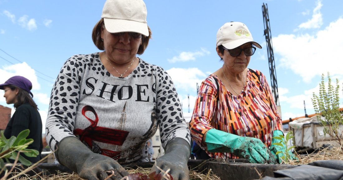 Jóvenes de Bogotá Líder nos enseñan agricultura urbana