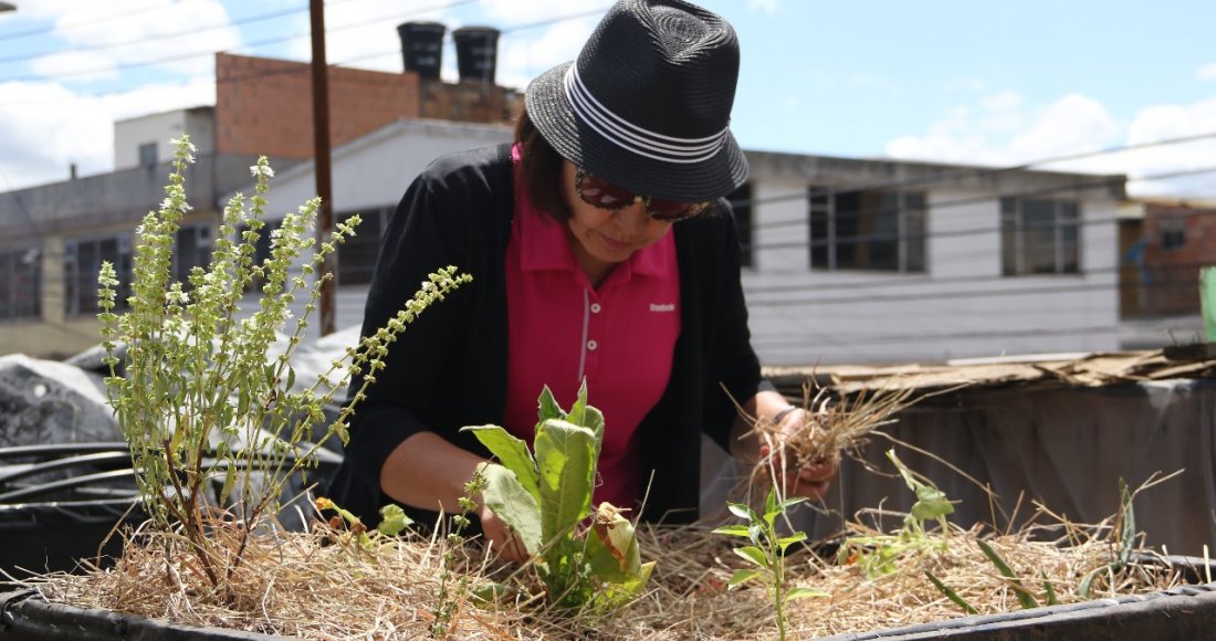 Jóvenes de Bogotá Líder nos enseñan agricultura urbana