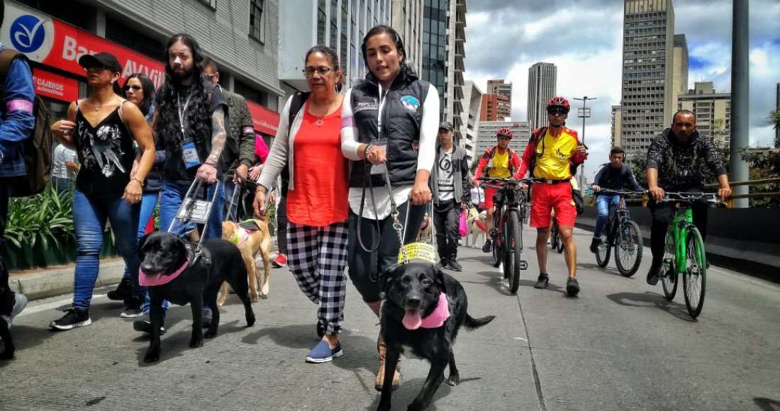 ‘Las huellas que guían’: la caminata por los derechos de los Perros Lazarillos 