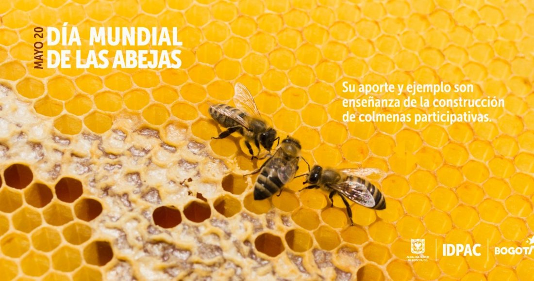 Día Mundial de las Abejas: un espejo ideal de la humanidad