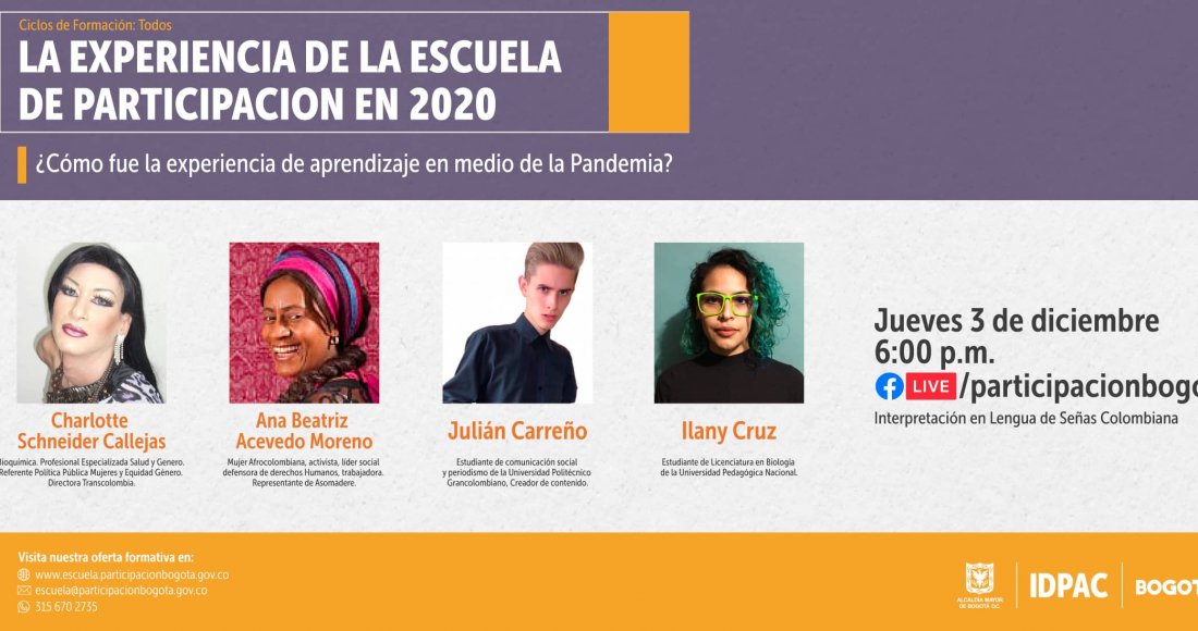 ¿Cómo fue la experiencia de la Escuela de Participación en 2020?