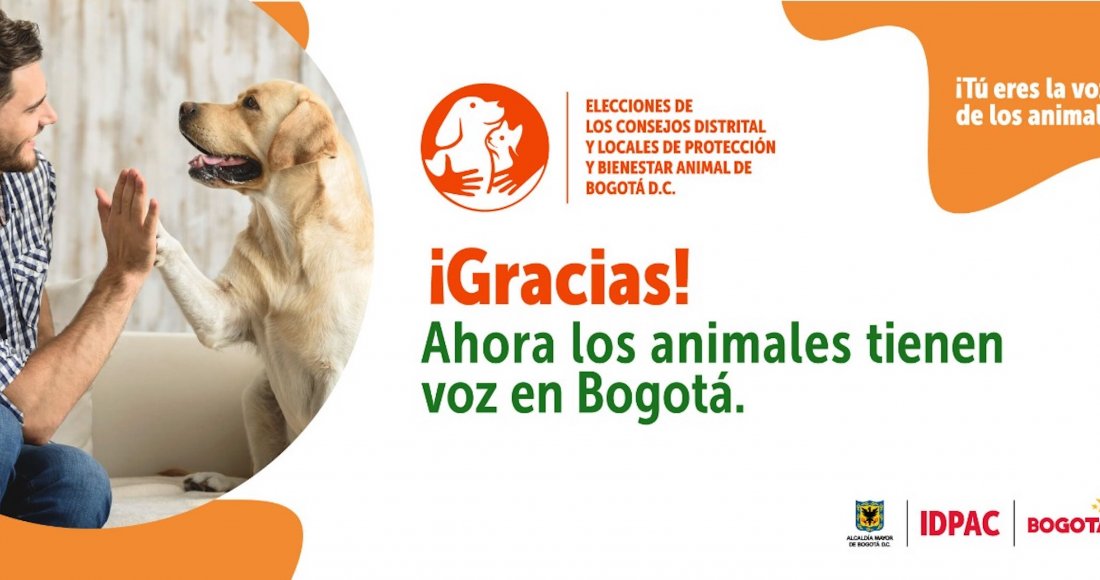 Los animales ya tienen voz en los Consejos Distrital y Locales de Protección y Bienestar Animal