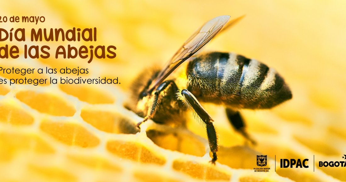 20 de mayo, Día Mundial de las Abejas