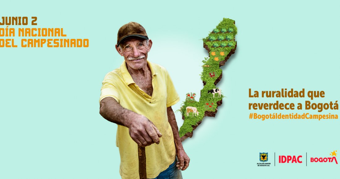 Agricultura familiar en la ruralidad de Bogotá, un camino hacia la participación 