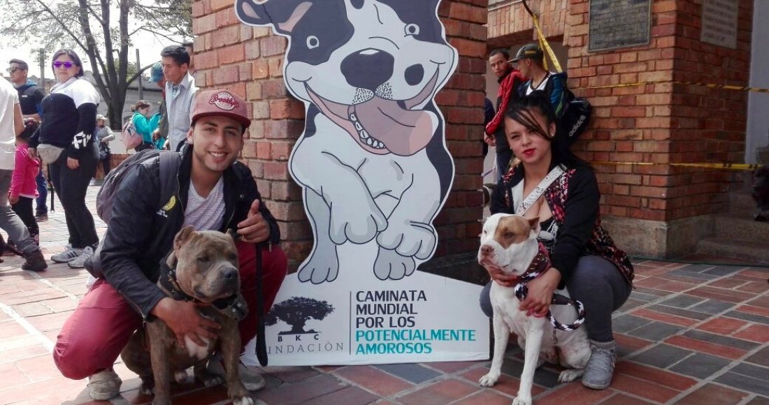 LOS PERROS ‘POTENCIALMENTE AMOROSOS’ SE TOMARON A BOGOTÁ 