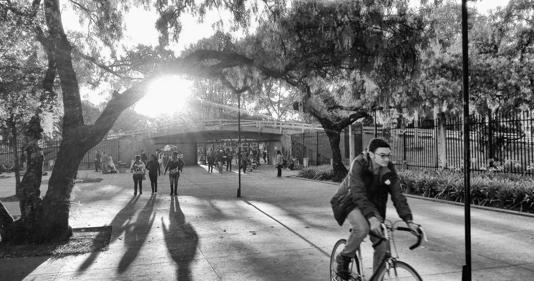 Estos son los 20 ganadores del reto ‘Foto Historias Bogotá Ciudad Caminable’