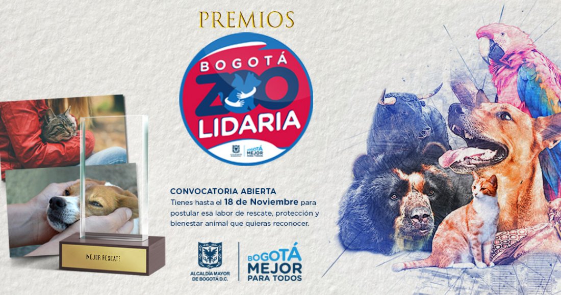 Abiertas las postulaciones para los Premios ‘Ciudad ZOOlidaria 2018’