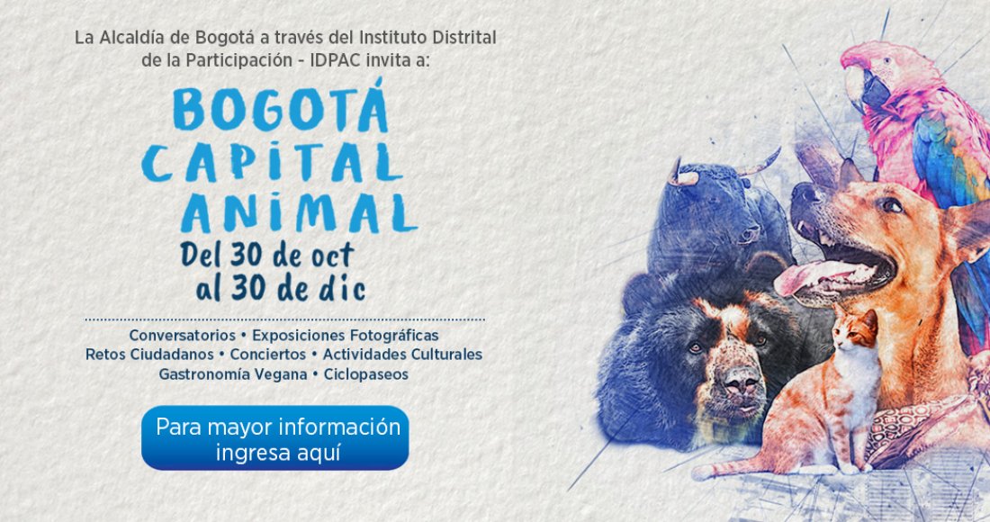 Bogotá Capital Animal