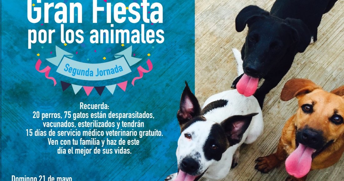 “Gran Fiesta por los Animales”