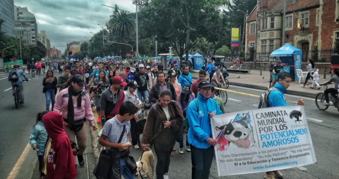 “Edúcate y Edúcame”: fue el eslogan en la Sexta Caminata por los Derechos de los Perros de Razas Fuertes