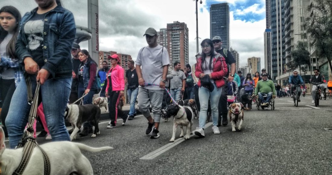 “Edúcate y Edúcame”: fue el eslogan en la Sexta Caminata por los Derechos de los Perros de Razas Fuertes