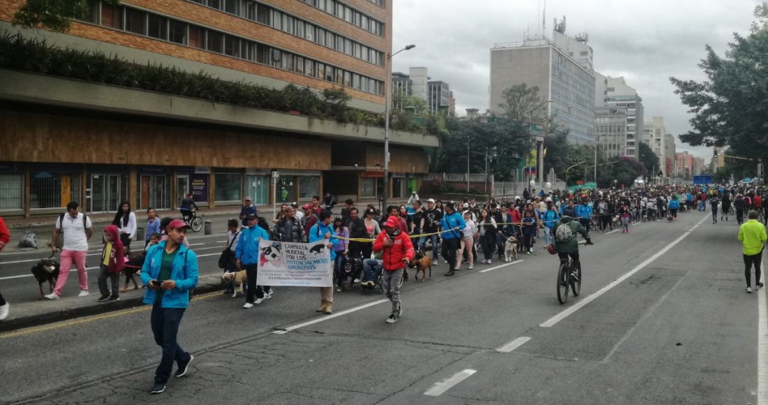 “Edúcate y Edúcame”: fue el eslogan en la Sexta Caminata por los Derechos de los Perros de Razas Fuertes