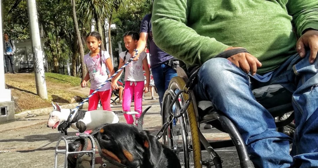 “Edúcate y Edúcame”: fue el eslogan en la Sexta Caminata por los Derechos de los Perros de Razas Fuertes