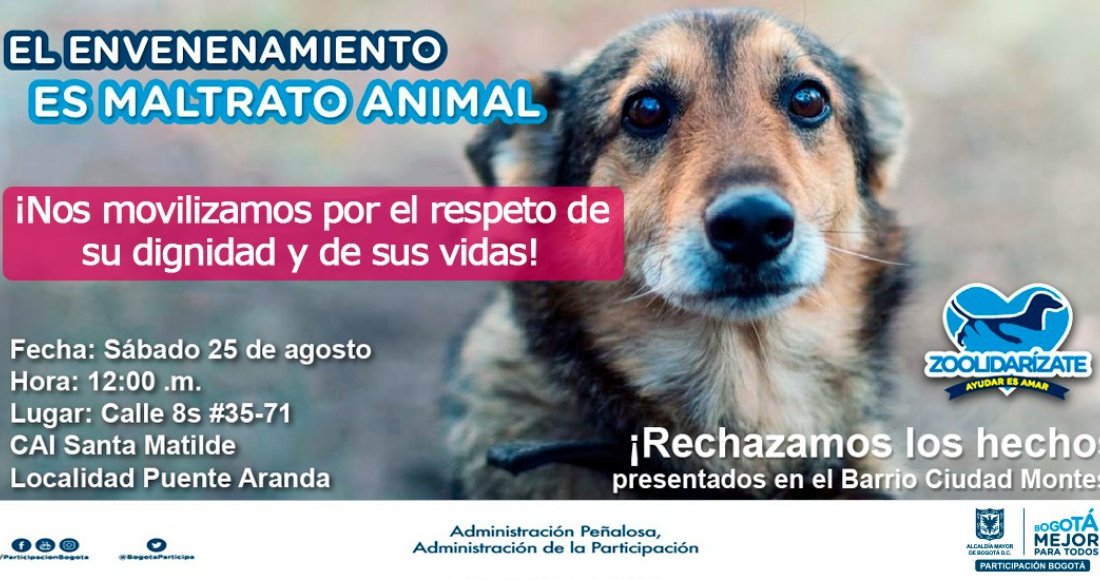 IDPAC denuncia y rechaza aberrantes actos contra animales en el barrio Ciudad Montes